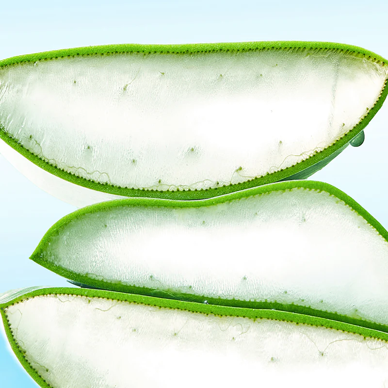 Blue Oasis Aloe Hydrating Serum - Image 8